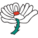 Yorkshire Cricket Icon