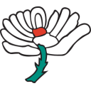 Board Trustee (Yorkshire Cricket Foundation) Icon